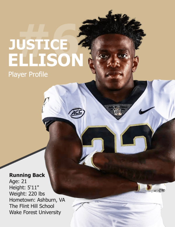 Player Profile